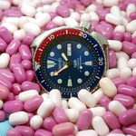 Seiko_Prospex_PADI_Special_Edition_SRPA21K1_Turtle_Horbiter_otto.JPG