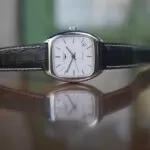 The Longines Heritage 1969 – Riflessi