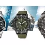 The Citizen Promaster 1989-2019: the story so far