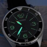 citizen of seaplane 6