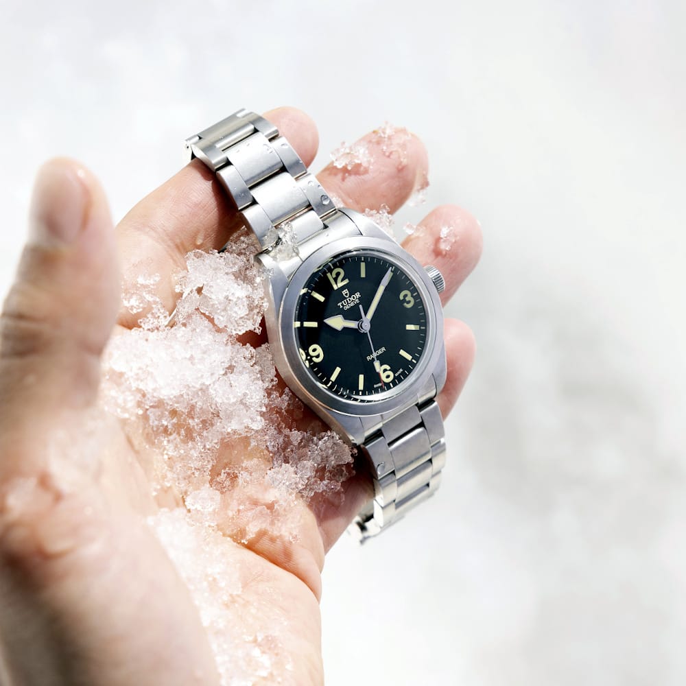 tudor ranger 2022 sei