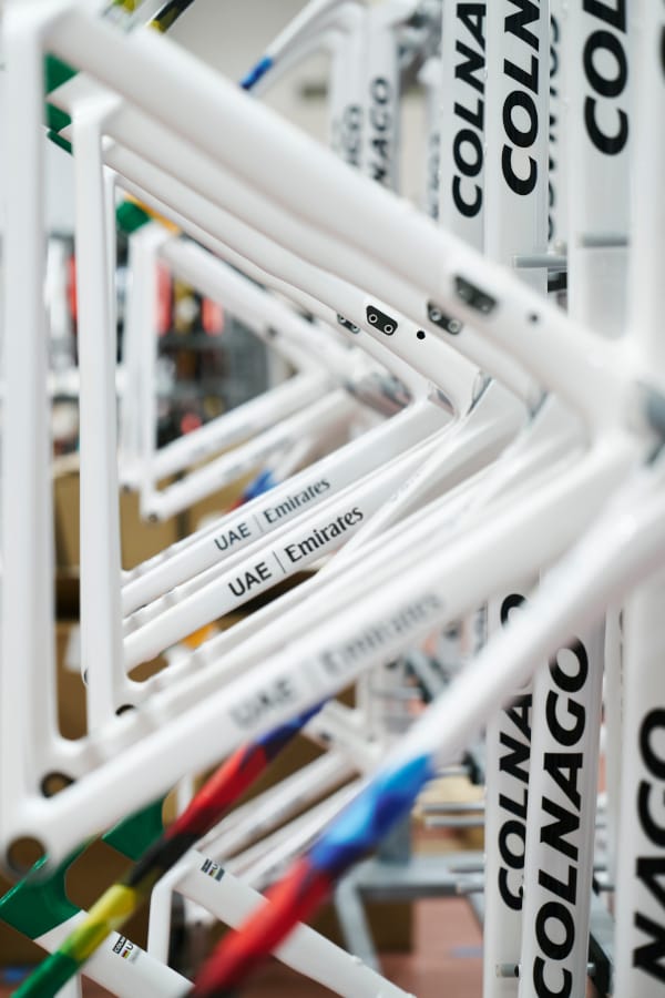 colnago biciclette